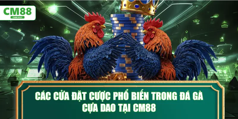 Các cửa đặt cược phổ biến trong đá gà cựa dao tại CM88